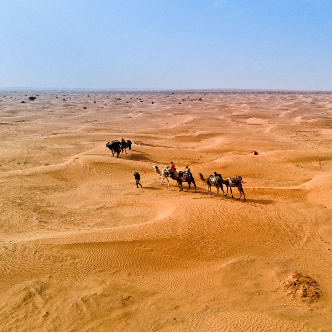 Excursion Journée à Ksar Ghilane