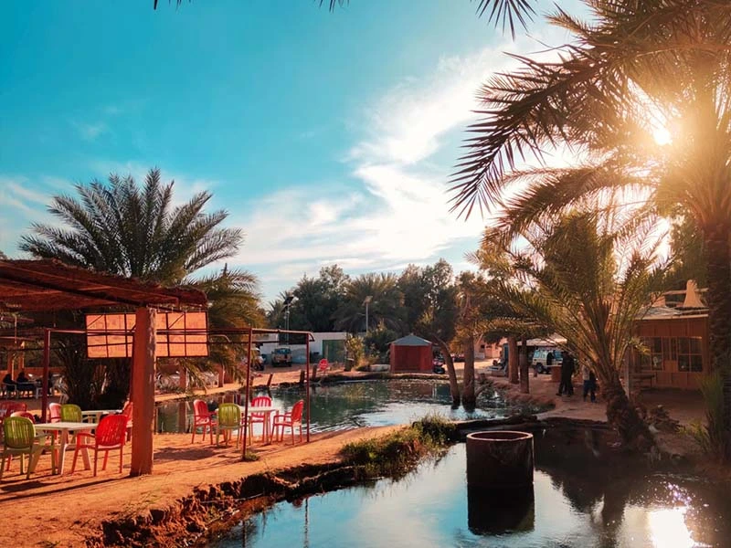 Excursion Douz – La Porte du Désert et l’Oasis de Ksar Ghilane